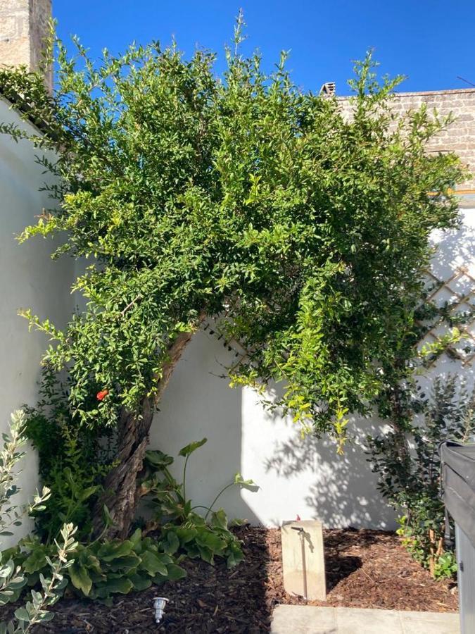 Il Palmento B&B Palmariggi Εξωτερικό φωτογραφία